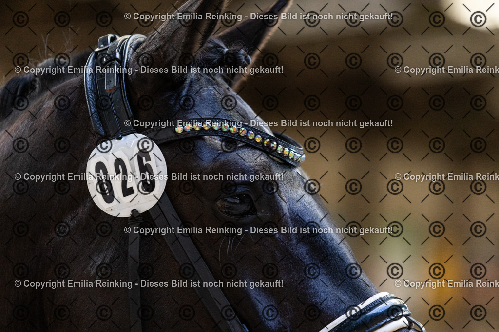 CL5A0382 | Emilia Reinking Fotografie - Realisiert mit Pictrs.com