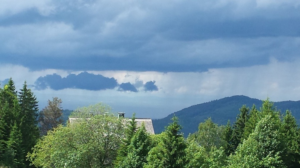 Natur_Schwarzwald_1 | klausulrichmoeller