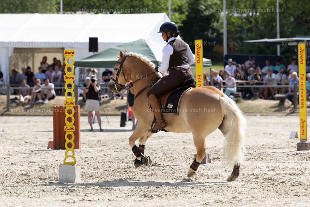 WS_SPEED_1_KerstinBernhardt | working equitationturnier fotograf videograf stoibphotography marixx film working equitation deutschland reitsport turnierfotografie eventfotografie equestrian events