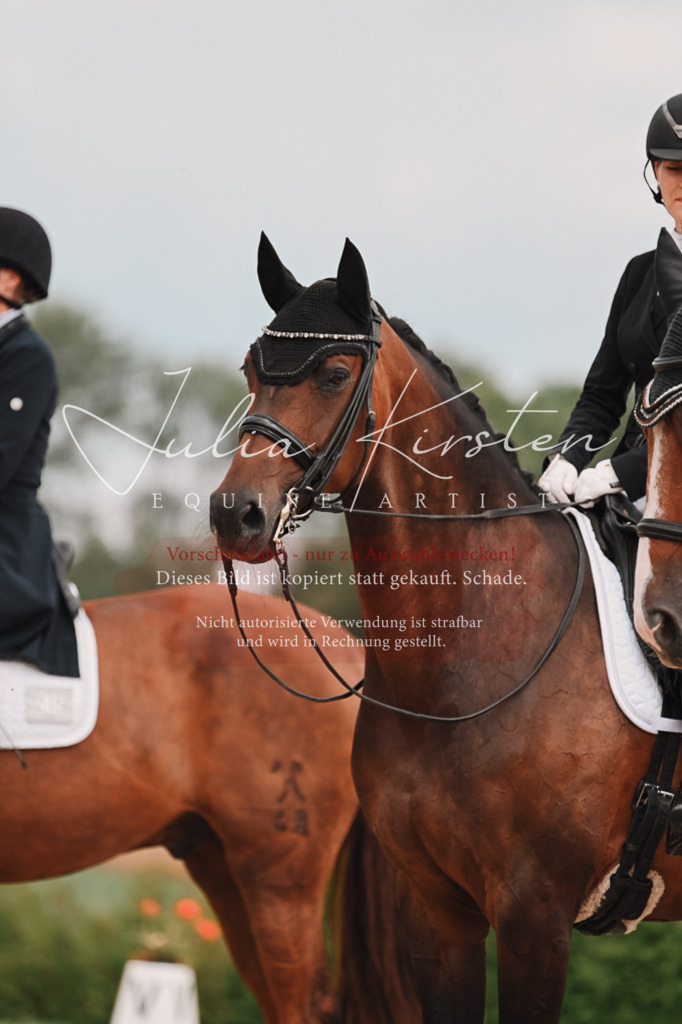 DSC_4111 | Pferde- und Turnierfotografie in Westsachsen. Pferdeportraits, Auftragszeichnungen und intuitive Kunst.