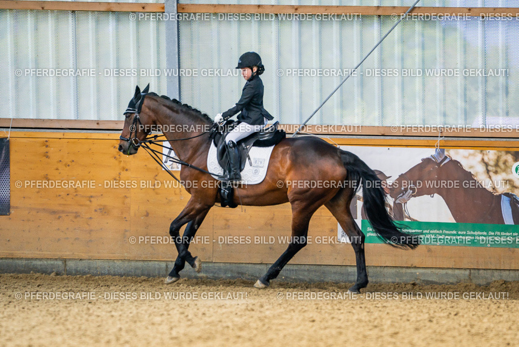 DSC02587 | Pferdegrafie