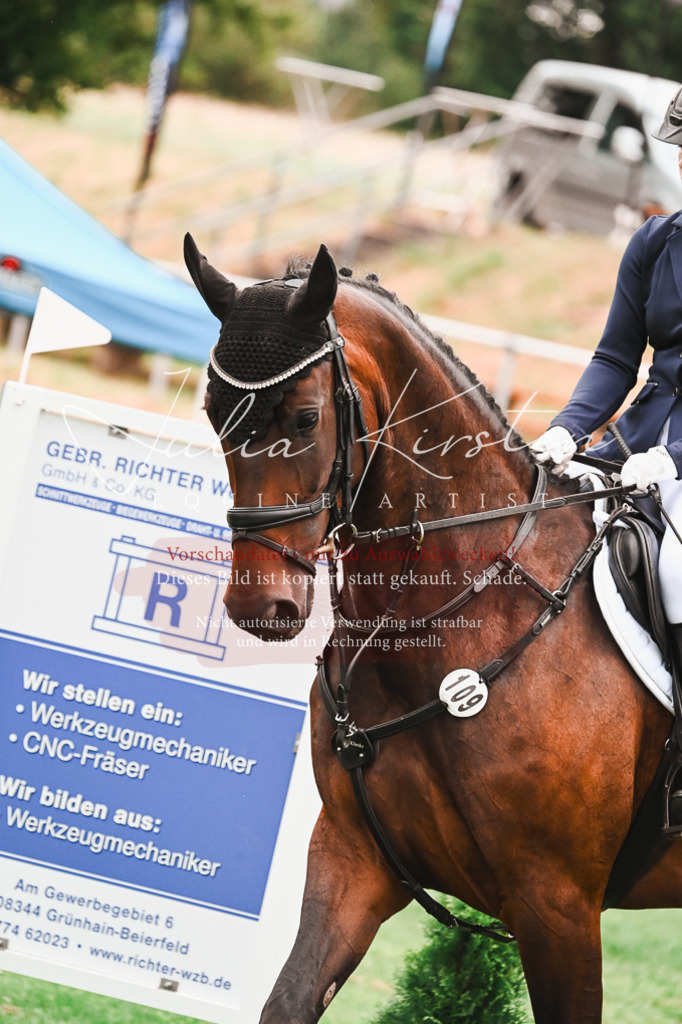 DSC_5986 | Pferde- und Turnierfotografie in Westsachsen. Pferdeportraits, Auftragszeichnungen und intuitive Kunst.