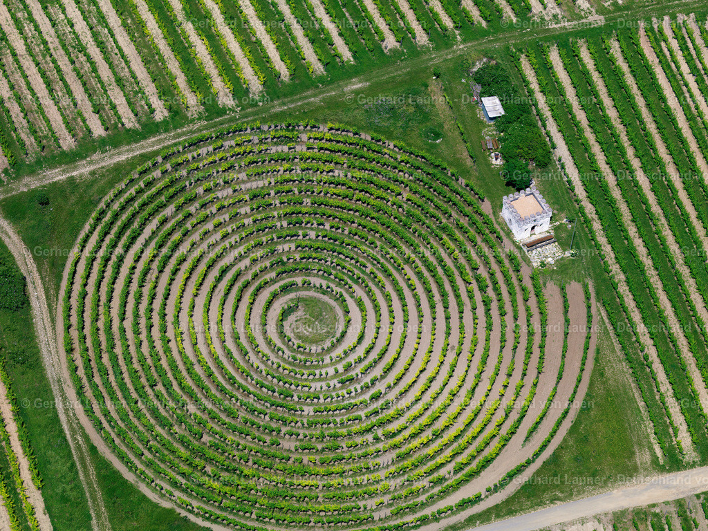 2822460 | kreisrunder Weinberg bei Zellertal-Marxheim