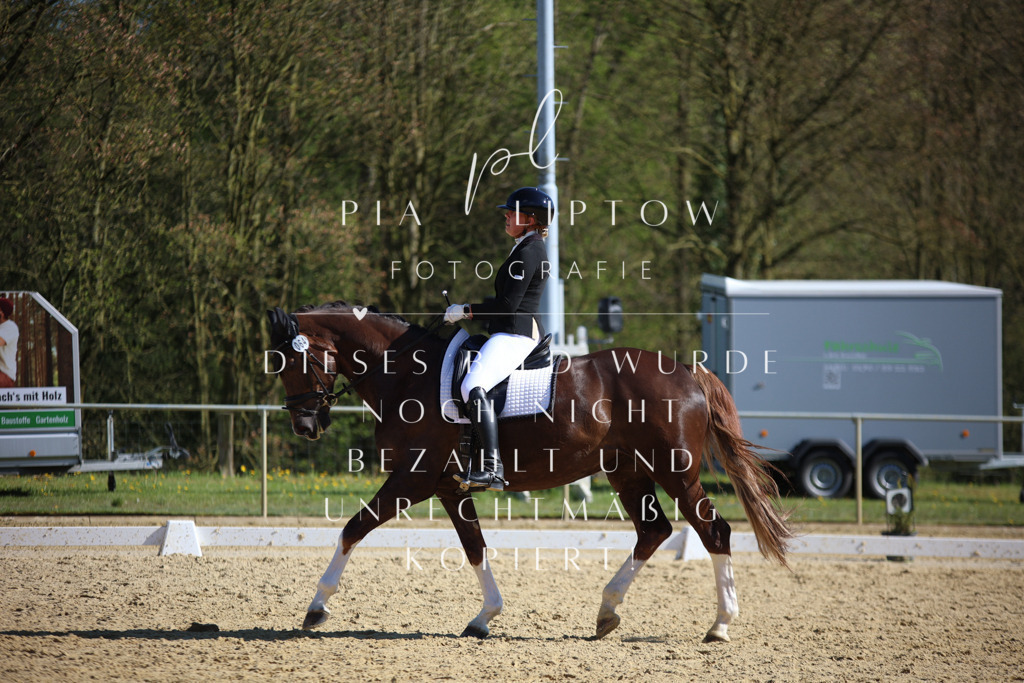 IMGT8877 | pl-fotografie