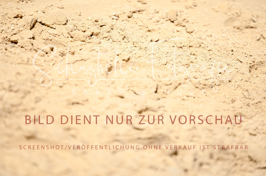 Schugtsche-Aluta25-49.Dressurpferdeprf.A-247 | Schugtsche Fotografie - Realisiert mit Pictrs.com