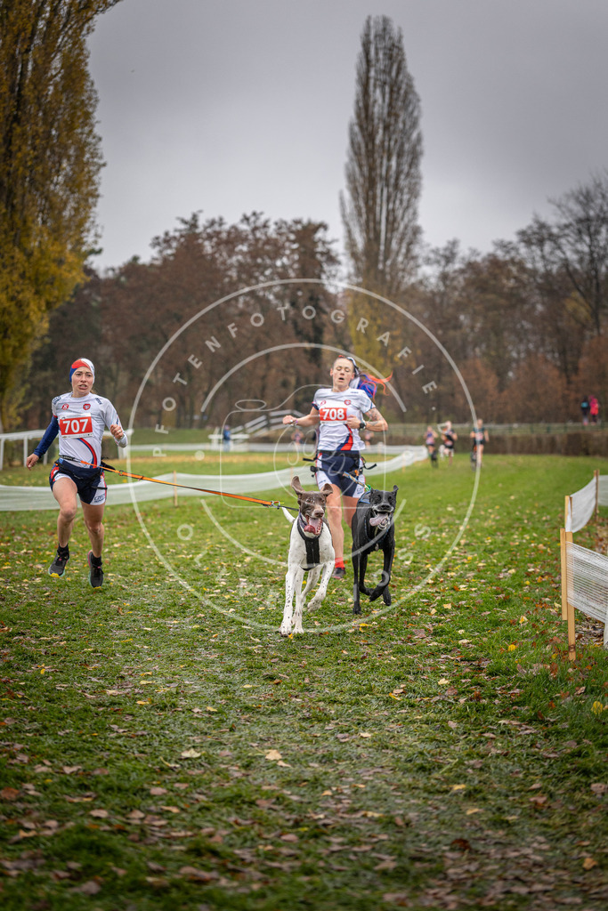 CaniXpix_DV3A9103 | Hundefotografie, Tierfotograf, Pfotenfotografie, Fotoshooting Hund, Hunde Portrait, Hundesport, Hundeportraits, Heideshooting, Hunde, Sportfotograf, Hundefotograf, Turnierhundsport, THS,  - Realisiert mit Pictrs.com