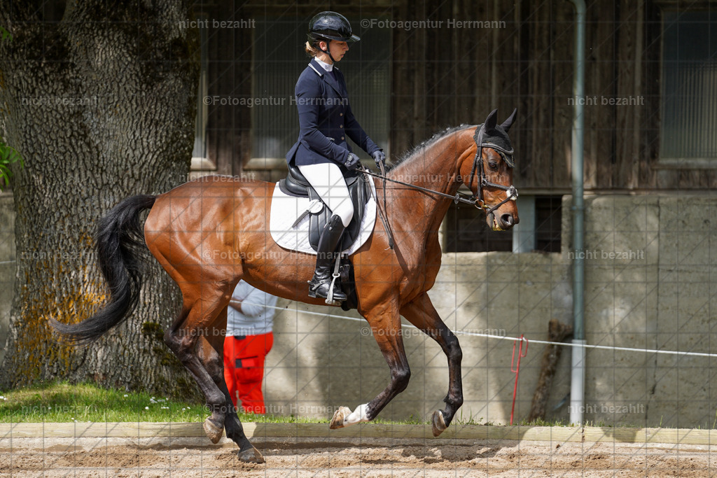 20240519-FAH04874 | Turnierbilder Niederseeon 2024, Vielseitigkeitsdressur, Reitsportbilder aus dem Landkreit Ebersberg, Gut Steinsee, RC Steinsee, Fotoagentur Herrmann