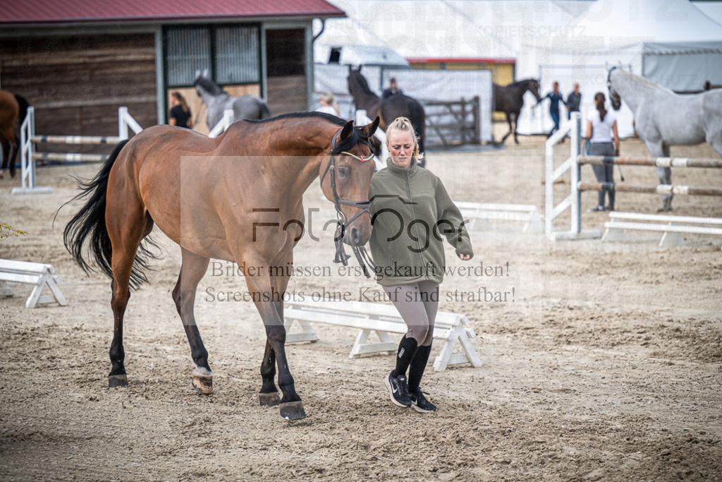 DOS_0189 | Entdecke hochwertige Reitturnierfotos von Foto Oger. Professionell, emotional und authentisch – jetzt Lieblingsmomente im Shop bestellen.Deutschlandweite Turnierfotografie. - Realisiert mit Pictrs.com