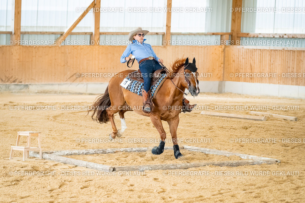 DSC07445 | Pferdegrafie