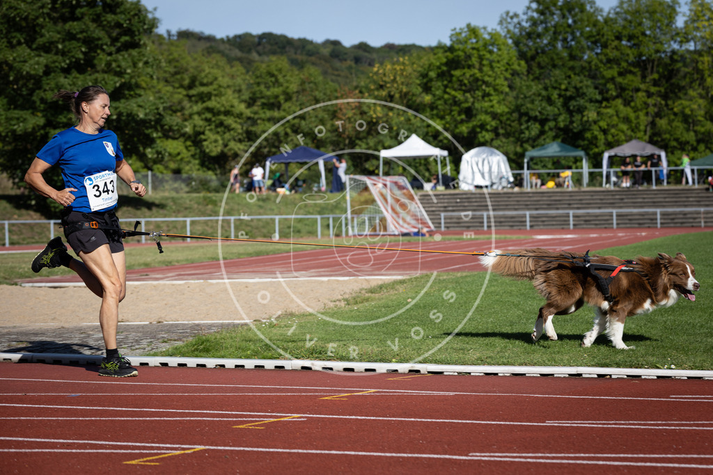 Pfotenfotografie_DV3A8721 | Hundefotografie, Tierfotograf, Pfotenfotografie, Fotoshooting Hund, Hunde Portrait, Hundesport, Hundeportraits, Heideshooting, Hunde, Sportfotograf, Hundefotograf, Turnierhundsport, THS,  - Realisiert mit Pictrs.com