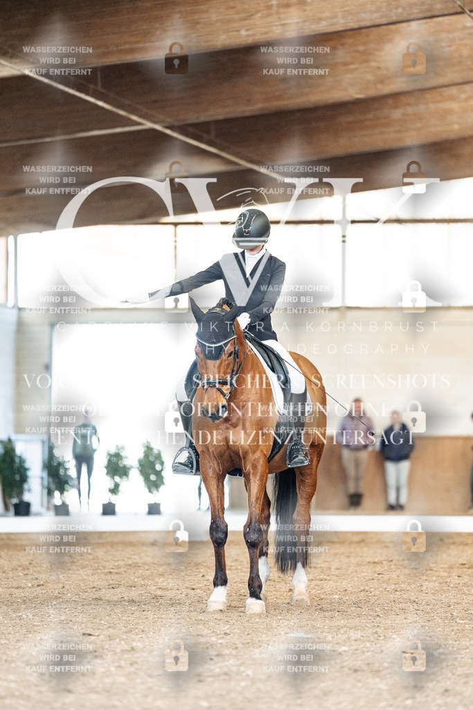 CK901020 | Turnierfotografie Pferdefotografie Trier Rheinland-Pfalz Pferdesport Reitsport Tierfotografie Sportfotografie Pferdevideo Pferdevideografie Equestrianvideography equestrianphotography  - Realisiert mit Pictrs.com