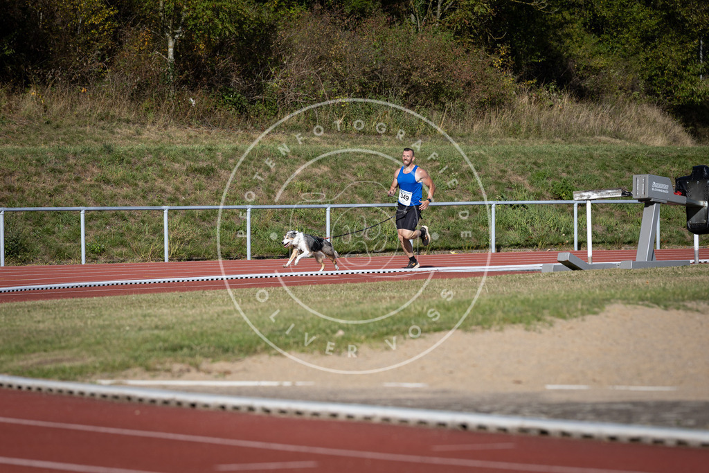 Pfotenfotografie_DV3A9452 | Hundefotografie, Tierfotograf, Pfotenfotografie, Fotoshooting Hund, Hunde Portrait, Hundesport, Hundeportraits, Heideshooting, Hunde, Sportfotograf, Hundefotograf, Turnierhundsport, THS,  - Realisiert mit Pictrs.com