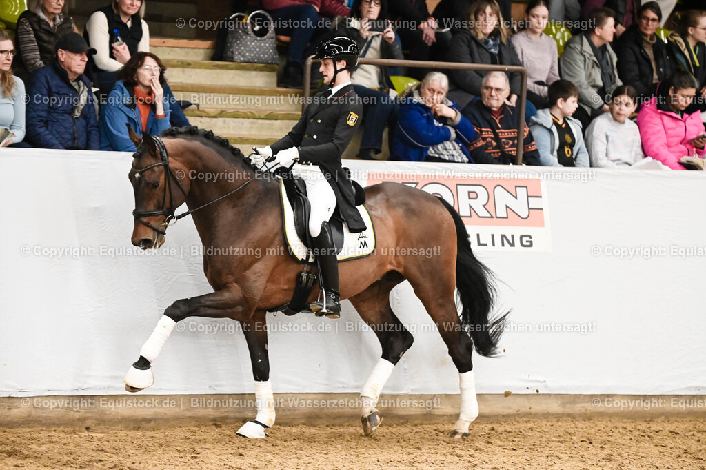 20260307_Hengstvorstellung-Marbach_0383 | equistock