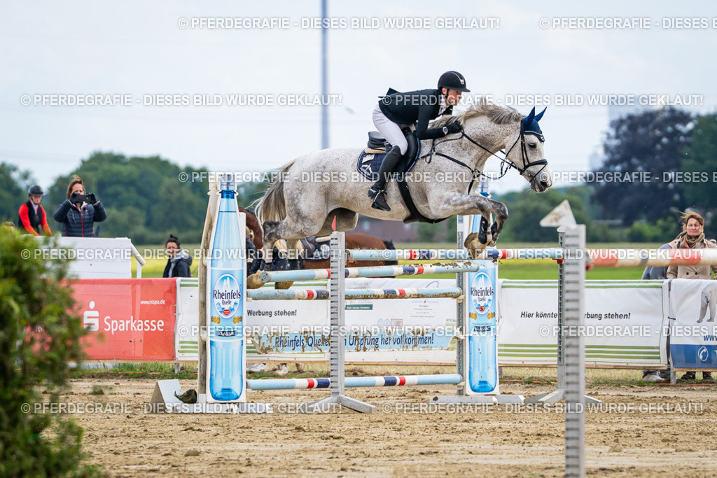 DSC07039 | Pferdegrafie