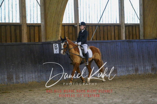 IMG_1626 | Turniersportfotografie; Pferdefotografie; Dressurfotografie