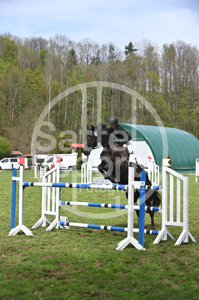 DSC_3971 | sattelsport - Realisiert mit Pictrs.com