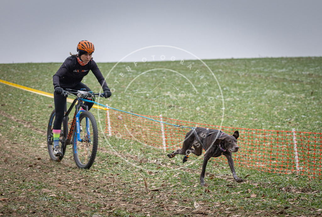Pfotenfotografie_DV3A1046 | Hundefotografie, Tierfotograf, Pfotenfotografie, Fotoshooting Hund, Hunde Portrait, Hundesport, Hundeportraits, Heideshooting, Hunde, Sportfotograf, Hundefotograf, Turnierhundsport, THS,  - Realisiert mit Pictrs.com