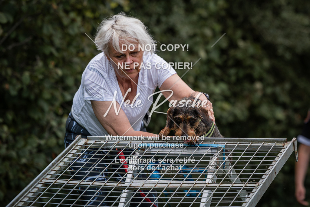 nelerasche_SoLauf_57 | nelerasche
