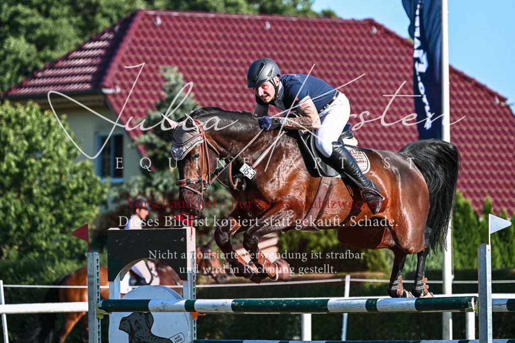 DSC_2939 | Pferde- und Turnierfotografie in Westsachsen. Pferdeportraits, Auftragszeichnungen und intuitive Kunst.