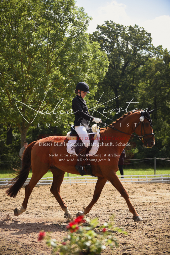 DSC_0710 | Pferde- und Turnierfotografie in Westsachsen. Pferdeportraits, Auftragszeichnungen und intuitive Kunst.