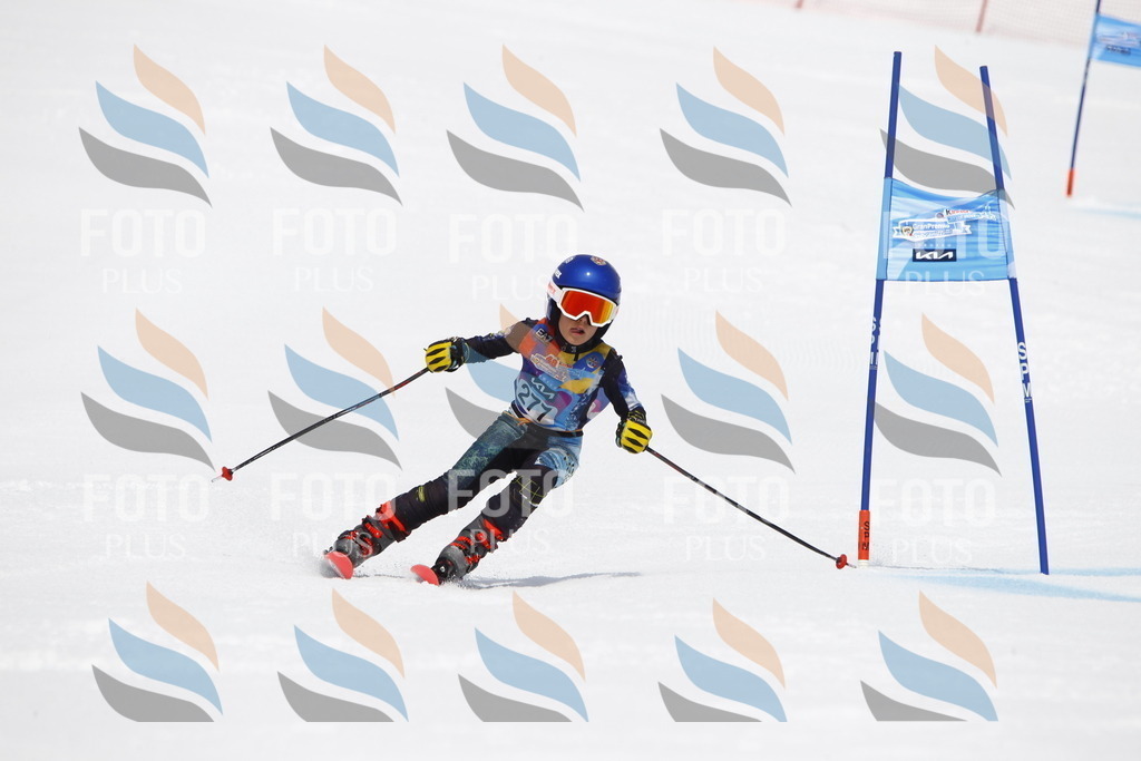 _U3G6940 | holidayphoto