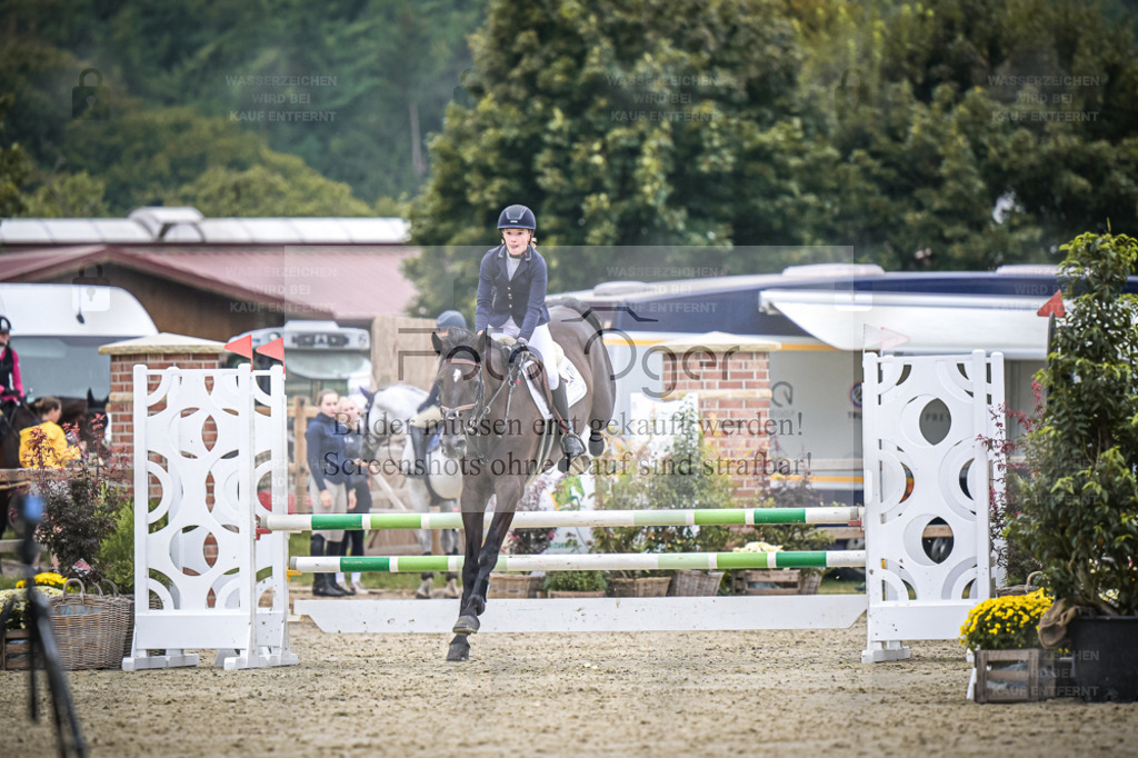 DOS_0450 | Entdecke hochwertige Reitturnierfotos von Foto Oger. Professionell, emotional und authentisch – jetzt Lieblingsmomente im Shop bestellen. - Realisiert mit Pictrs.com