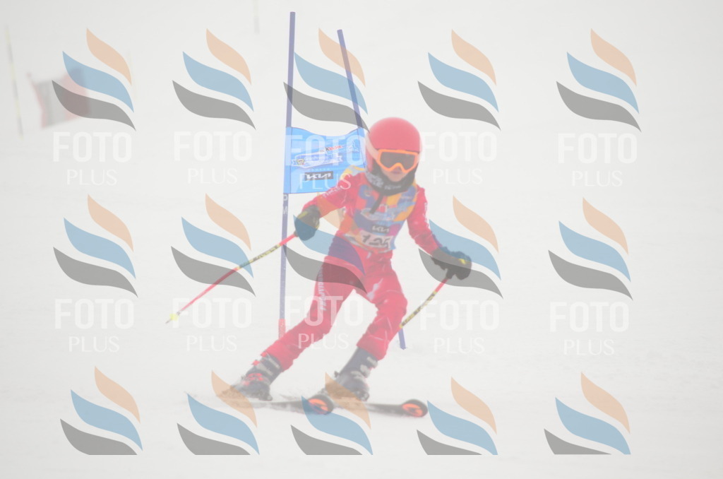 C1584 | holidayphoto