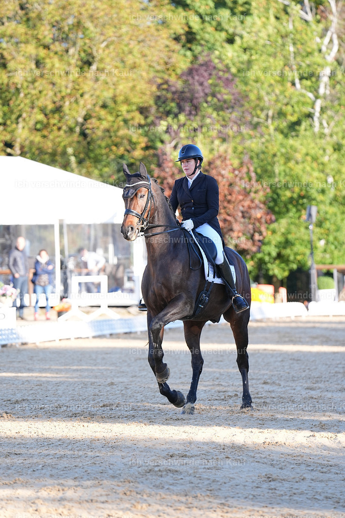 09_1-193-DRESSUR  S_  -Marixx-5651 | working equitationturnier fotograf videograf stoibphotography marixx film working equitation deutschland reitsport turnierfotografie eventfotografie equestrian events