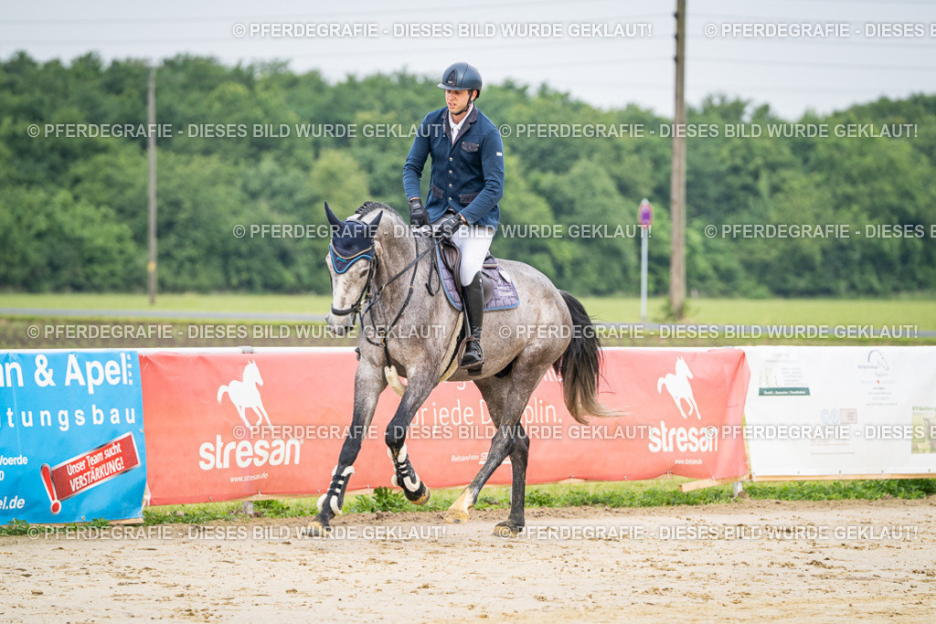 DSC09188 | Pferdegrafie