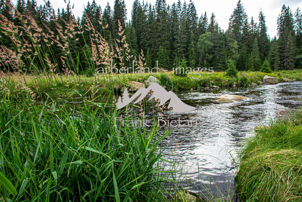 _Z5A4683 | Medien- Sport- Entertainmentfotos