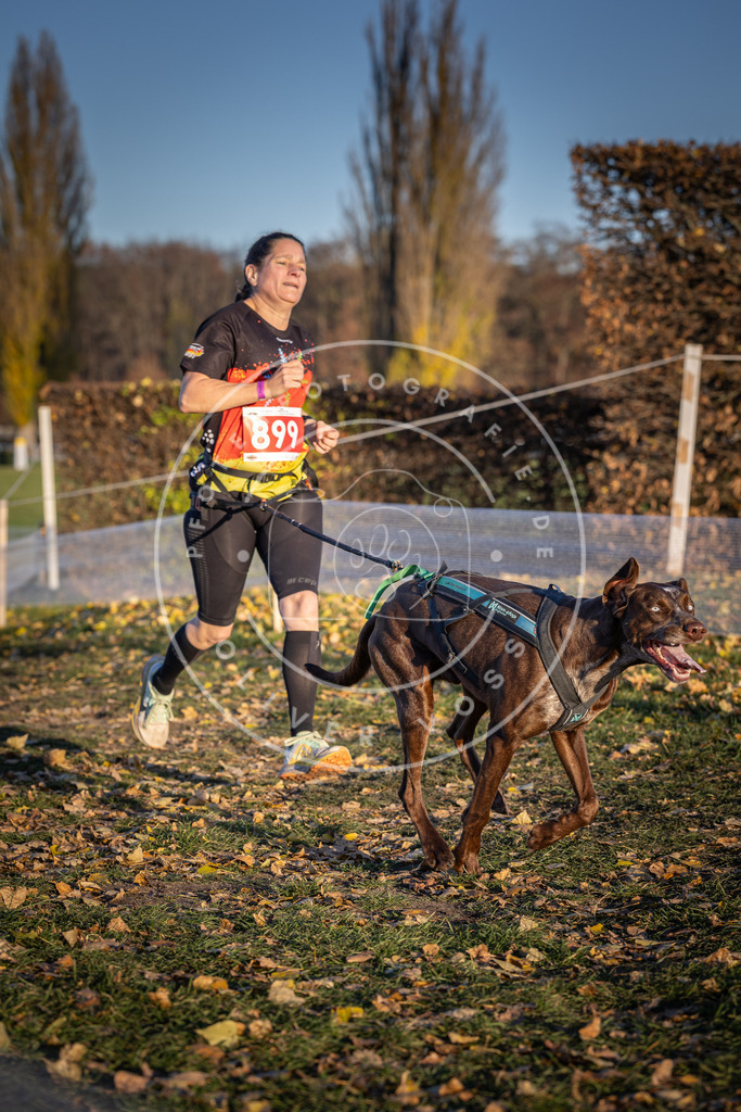 CaniXpix_DV3A4596 | Hundefotografie, Tierfotograf, Pfotenfotografie, Fotoshooting Hund, Hunde Portrait, Hundesport, Hundeportraits, Heideshooting, Hunde, Sportfotograf, Hundefotograf, Turnierhundsport, THS,  - Realisiert mit Pictrs.com