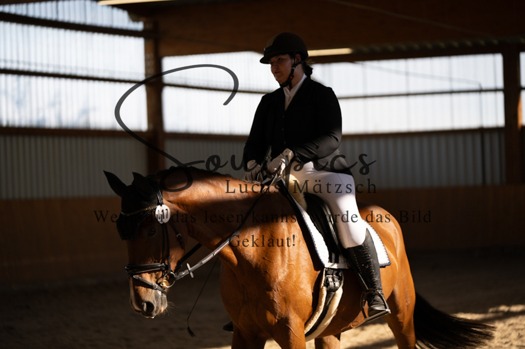 A7V01879 | Pferdefotograf