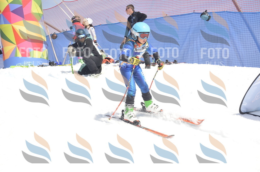 _ELE9310 | holidayphoto