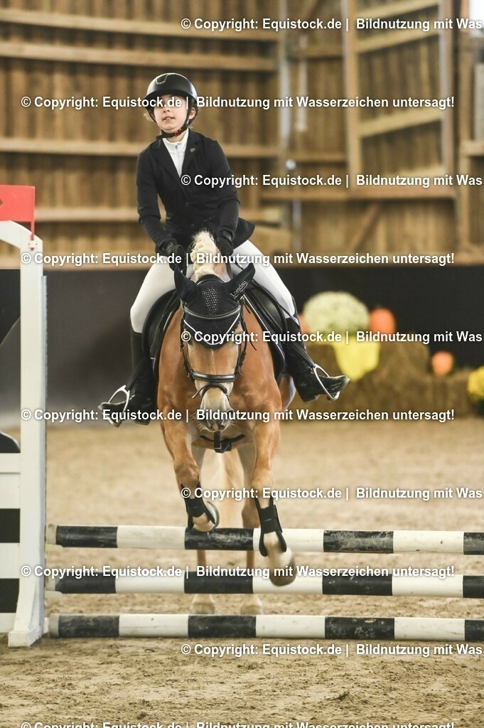 20231029_07_Stilspring-WB-50cm_0066 | Foto: Thomas Hartig