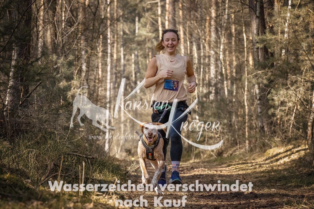 1133_ZZ91169-Bearbeitet | kk-dogfotos