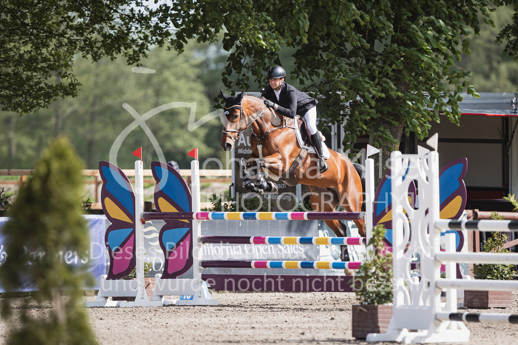 250506_Mühlen_SprPf-L2-460 | Deine schönsten Turniermomente als professionelle Fotos! Entdecke hochwertige Pferdesport-Fotografie im Online-Shop. Jetzt Fotos finden & bestellen!