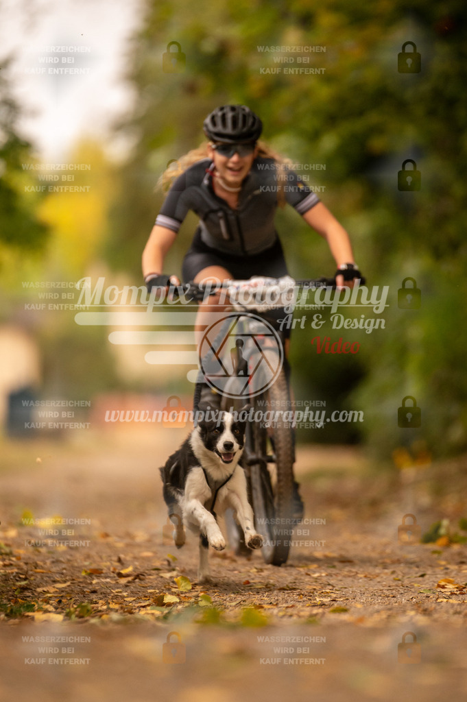 CDLBDB_14_10_2023_Samedi-113 | PayLife