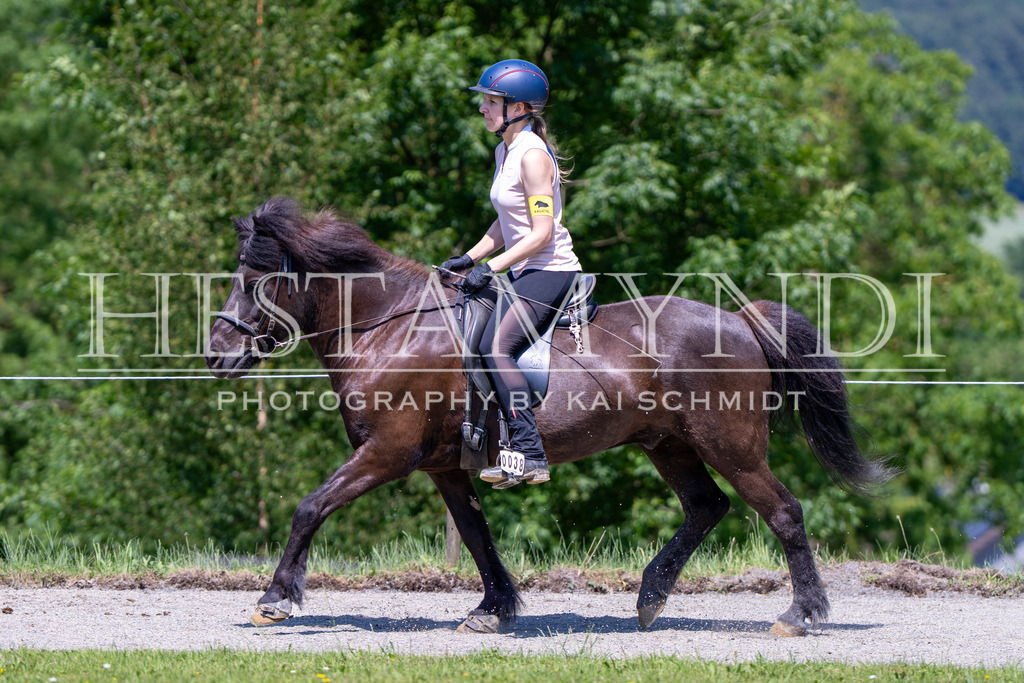 KAI04511 | Ihr sucht einen Fotografen für eure nächste OSI? Ich begleite auch euer Turnier für Islandpferde fotografisch.  - Realisiert mit Pictrs.com