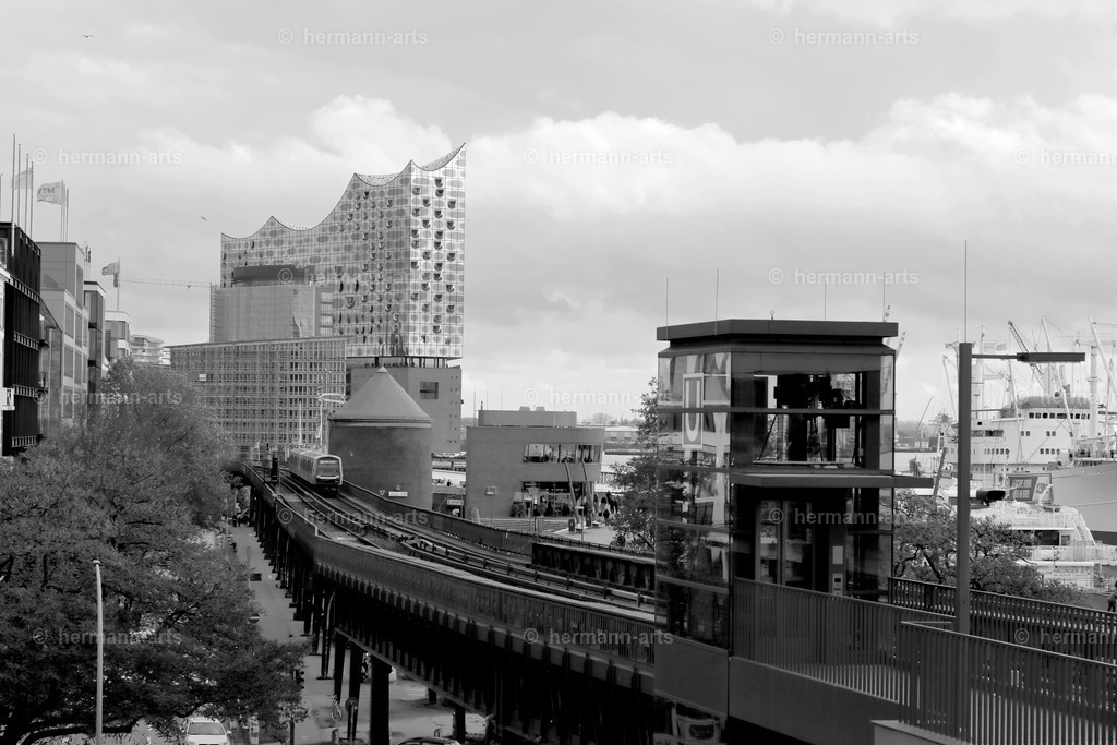 Hamurg_Arts-035 | Photo Foto Kunst Art schwarzweiss Bilder Rheine Münster Berlin Blumen 