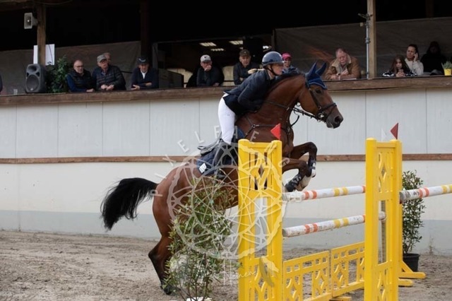 2B4A1123 | pixelfaenger - Realisiert mit Pictrs.com