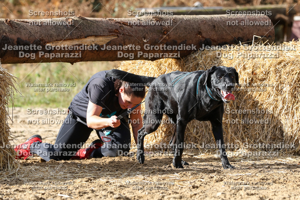 Dog Paparazzi - Strongdog 10-25-5067 | Dog Paparazzi Jeanette Grottendiek Fotografie & Videografie - Realisiert mit Pictrs.com