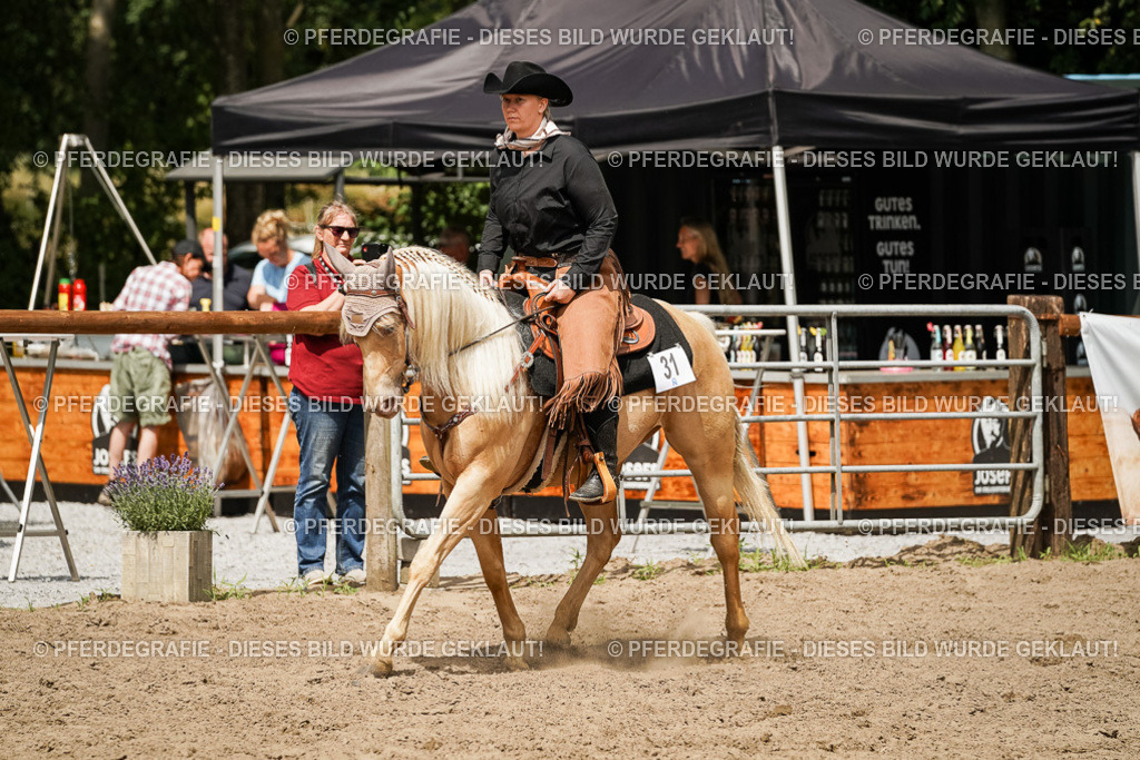 DSC00458 | Pferdegrafie