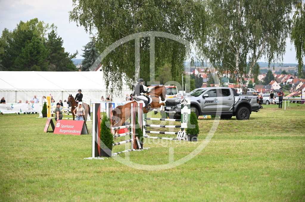 DSC_1559 | sattelsport - Realisiert mit Pictrs.com