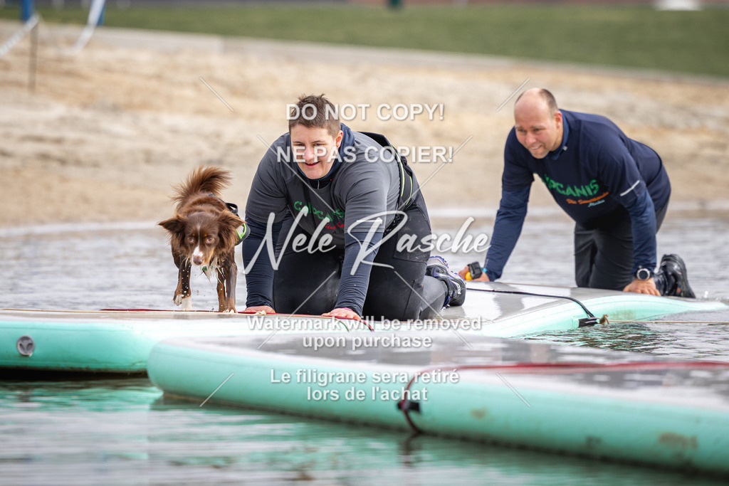 nelerasche_Hulsbeek_Sa1130-1230_606 | nelerasche