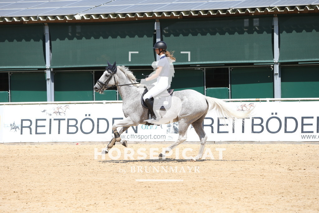 DL2Q1091 | Willkommen bei Brunnmayr - Design & Fotografie – Ihrem Spezialisten für Reitturniere und Pferdeveranstaltungen in Oberösterreich, Salzburg und Bayern! Seit über 17 Jahren sind wir leidenschaftlich dabei.