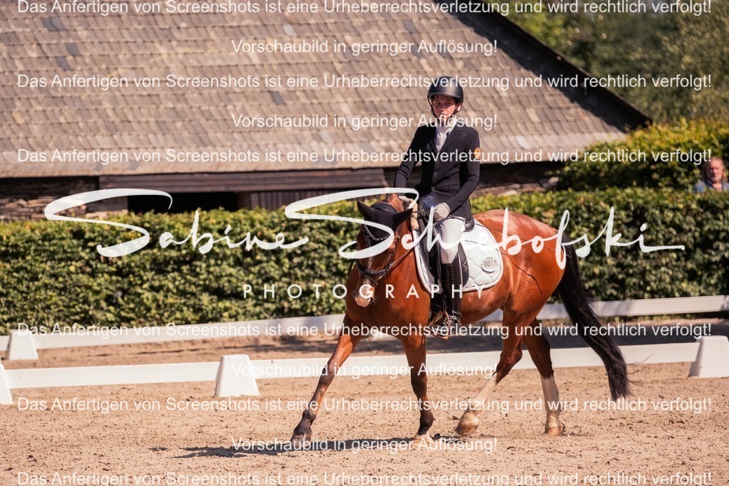 2025_05_31_DSCF3102 | People- und Tierfotografie, Imageaufnahmen, Veranstaltungsfotografie und Wandbilder aus der Natur ★ Made in Germany ✔️ Druck + Downloads ✔️ Naturfotografie in Top Qualität ★ schneller Versand, weltweite Lieferung! - Realisiert mit Pictrs.com