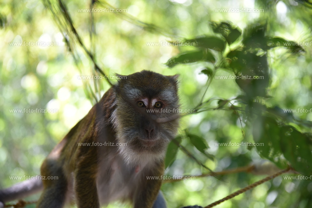 DEZ_0569 | www.foto-fritz.com - Realisiert mit Pictrs.com