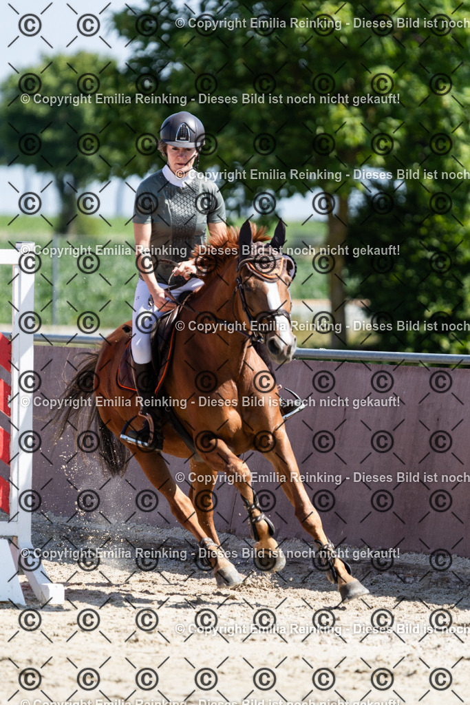 CL5A3200 | Emilia Reinking Fotografie - Realisiert mit Pictrs.com
