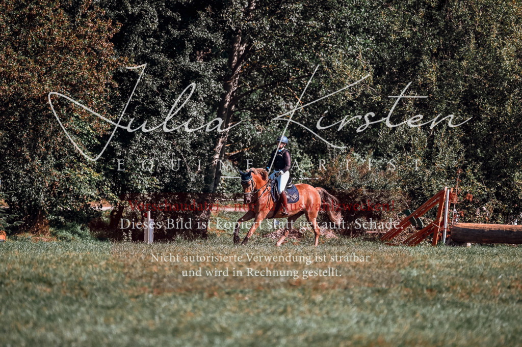 DSC_0797 | Pferde- und Turnierfotografie in Westsachsen. Pferdeportraits, Auftragszeichnungen und intuitive Kunst.