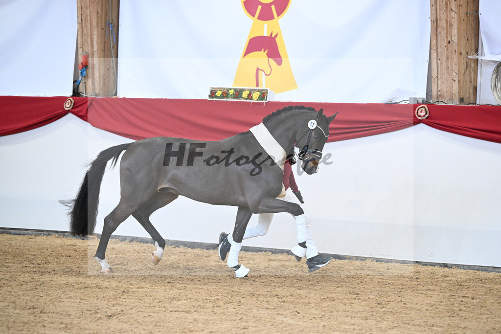 Kat.-Nr. 51 v. Donkey Boy_Lenzen_2251880 | hf-fotografie - Realisiert mit Pictrs.com